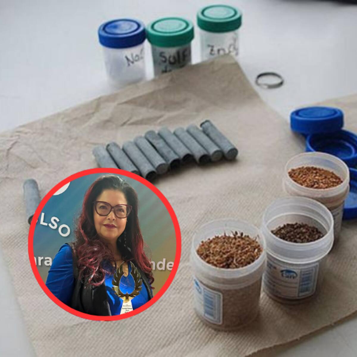 “Pilas Orgánicas”, innovación por la que docente recibe el Premio Nacional al Inventor Colombiano