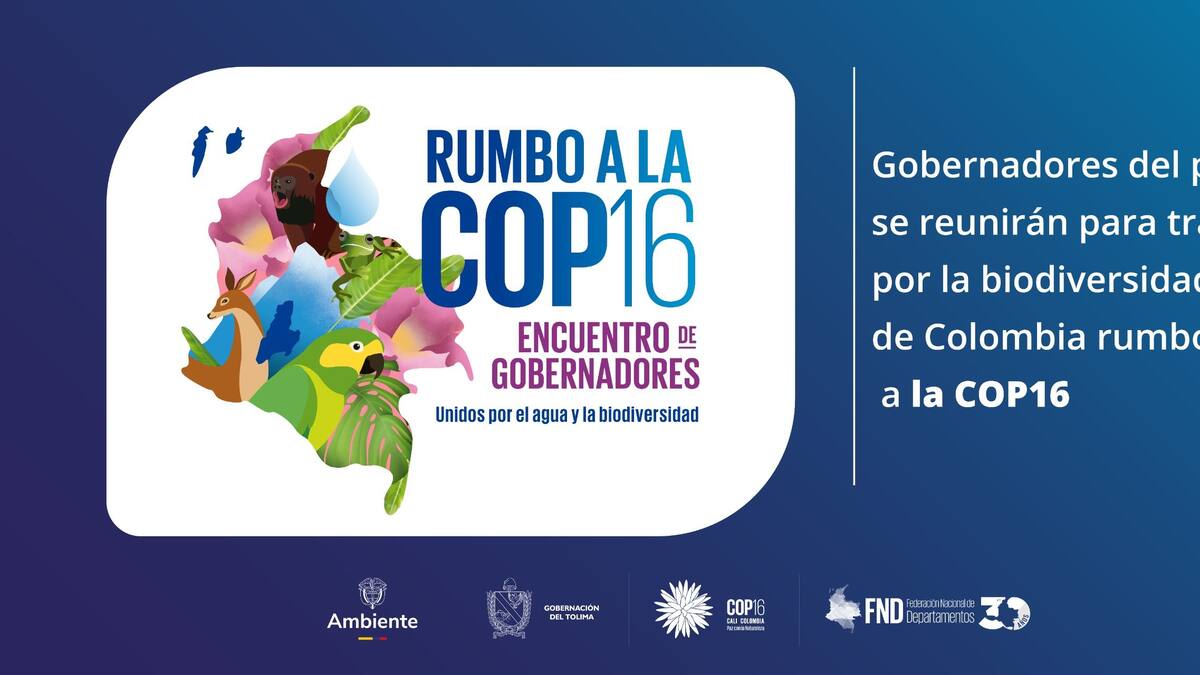 Así se desarrollará en Ibagué la cumbre de gobernadores ‘Rumbo a la COP16’