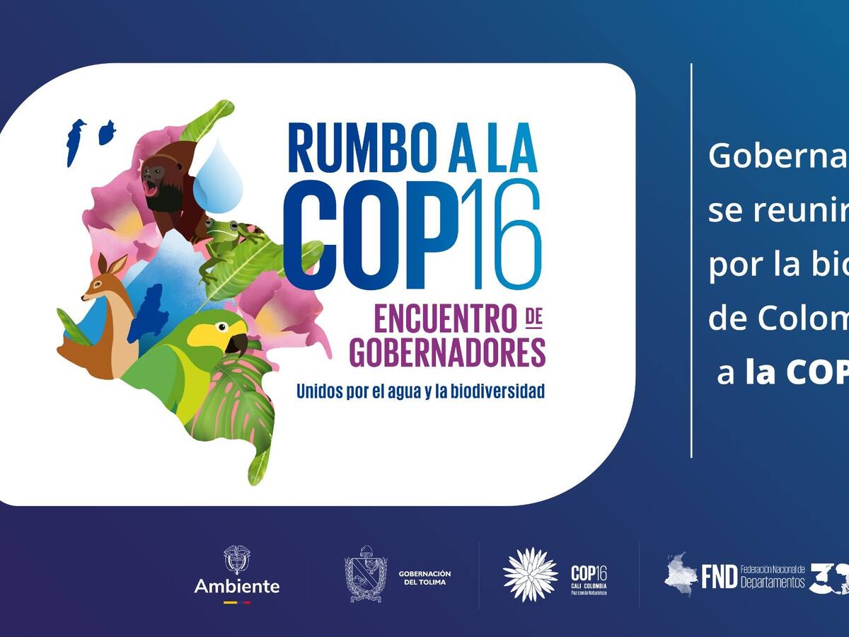 Así se desarrollará en Ibagué la cumbre de gobernadores ‘Rumbo a la COP16’