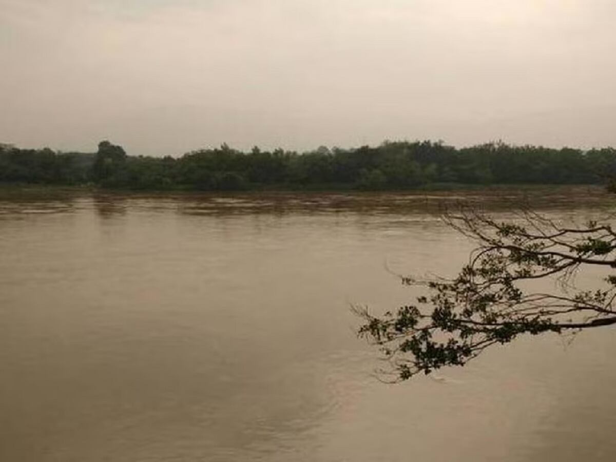 Crédito: Cortesía.