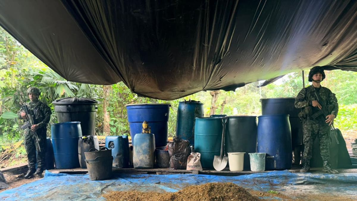 Destruyen nueve complejos cocaleros cerca de la frontera con Ecuador