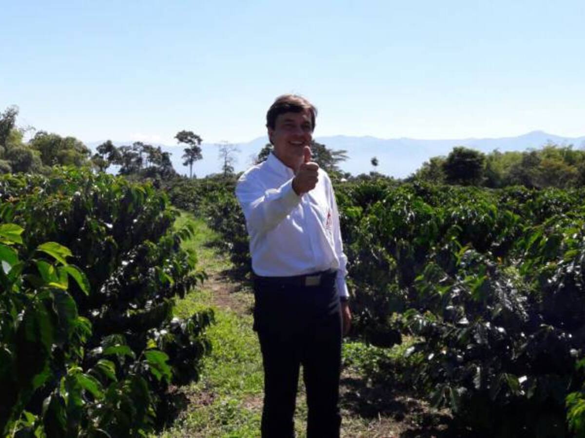 14.2 millones de sacos pronóstico de cosecha cafetera 2016: Roberto Vélez Gte. Fedecafe