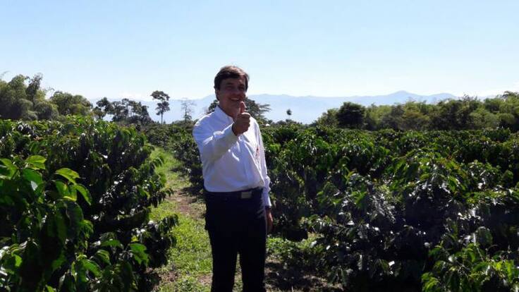 14.2 millones de sacos pronóstico de cosecha cafetera en 2016: Roberto Vélez Gte. Fedecafe