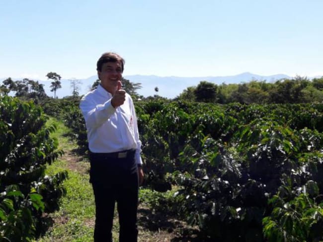 14.2 millones de sacos pronóstico de cosecha cafetera en 2016: Roberto Vélez Gte. Fedecafe