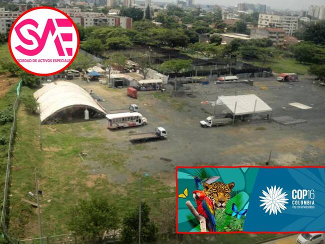 SAE entregará predio de 100.00mts2 para la COP16 en Cali. Cortesía: Colprensa.