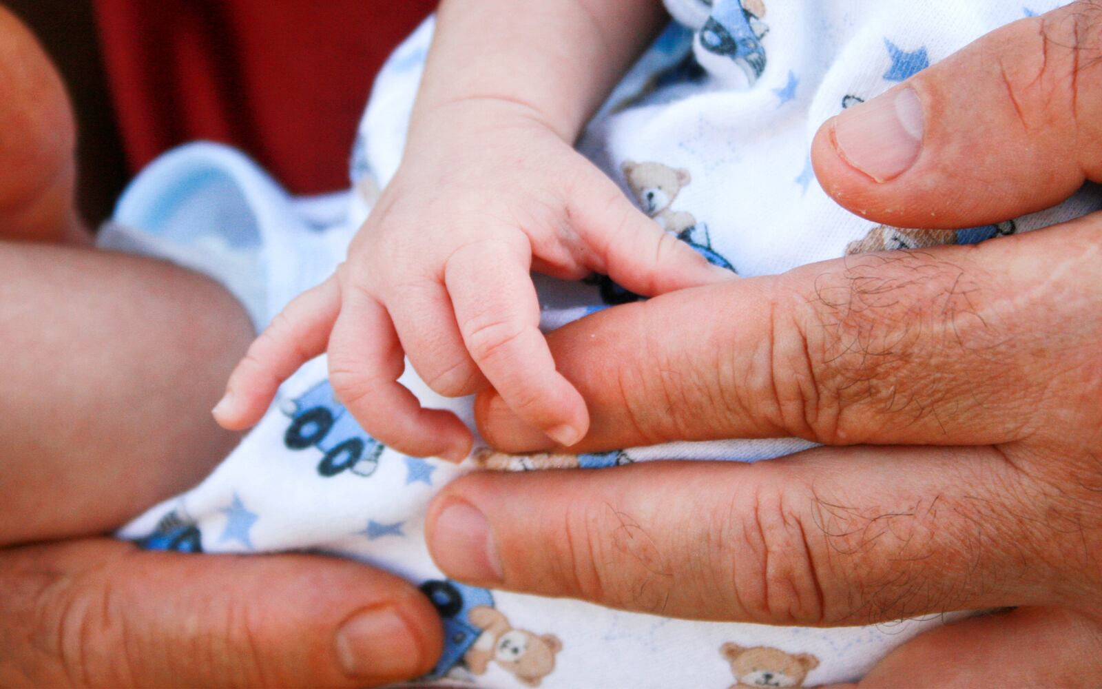 Fotografía suministrada