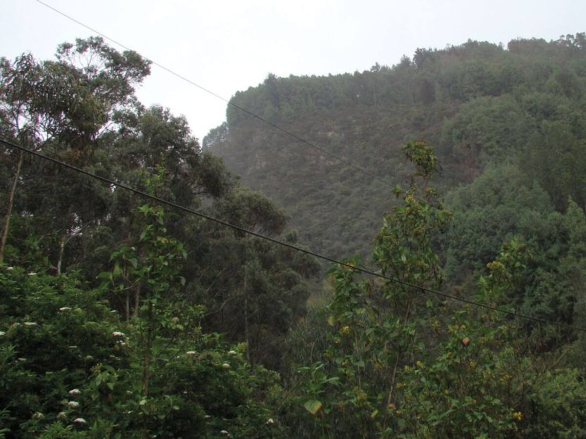 Bogotá: Rescatan 6 jóvenes que estaban extraviados en los cerros orientales