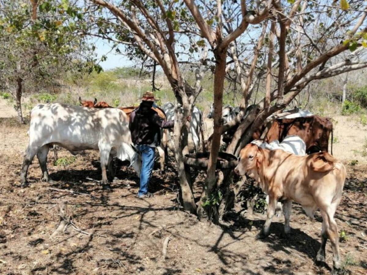 248 excombatientes adelantan proceso de reincorporación en Bolívar