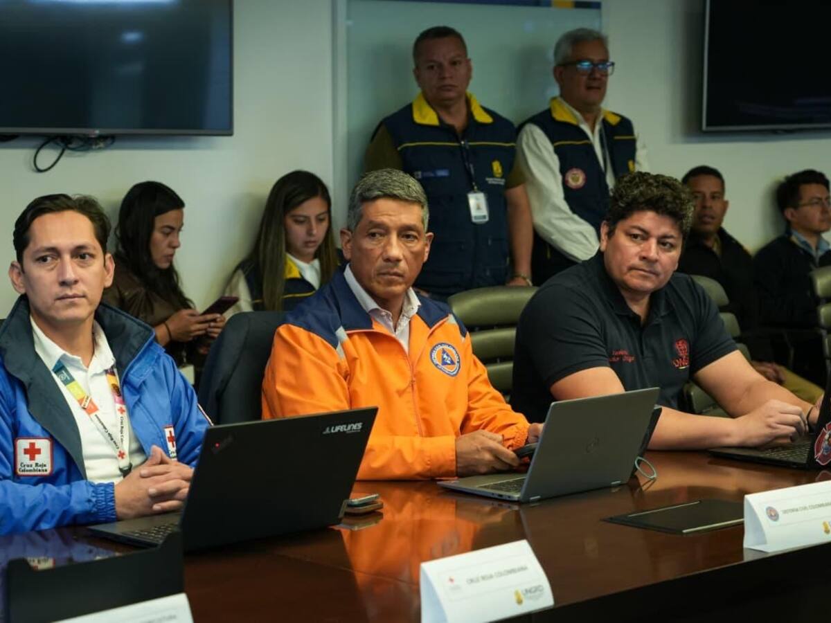 Volcán Puracé: cerca de 3.000 personas podrían requerir atención por caída de ceniza y afectaciones