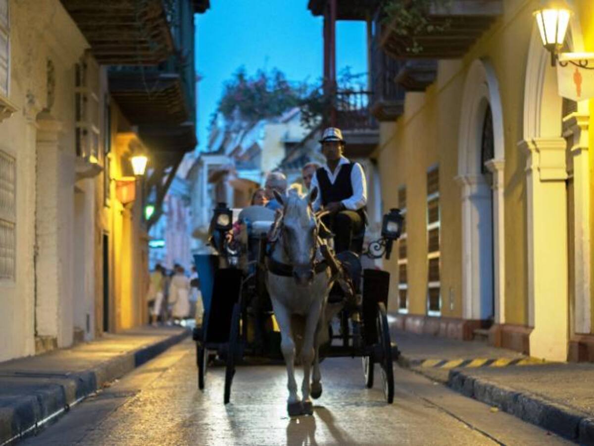 Pasó segundo debate de Proyecto de Ley para salvaguardar vida de caballos cocheros