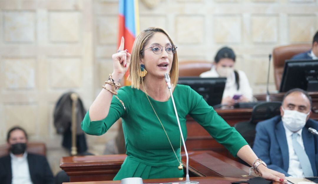 Congresistas de oposición pidieron a la Comisión de Ética de Cámara investigar a la presidenta Jennifer Arias por los señalamientos de plagio