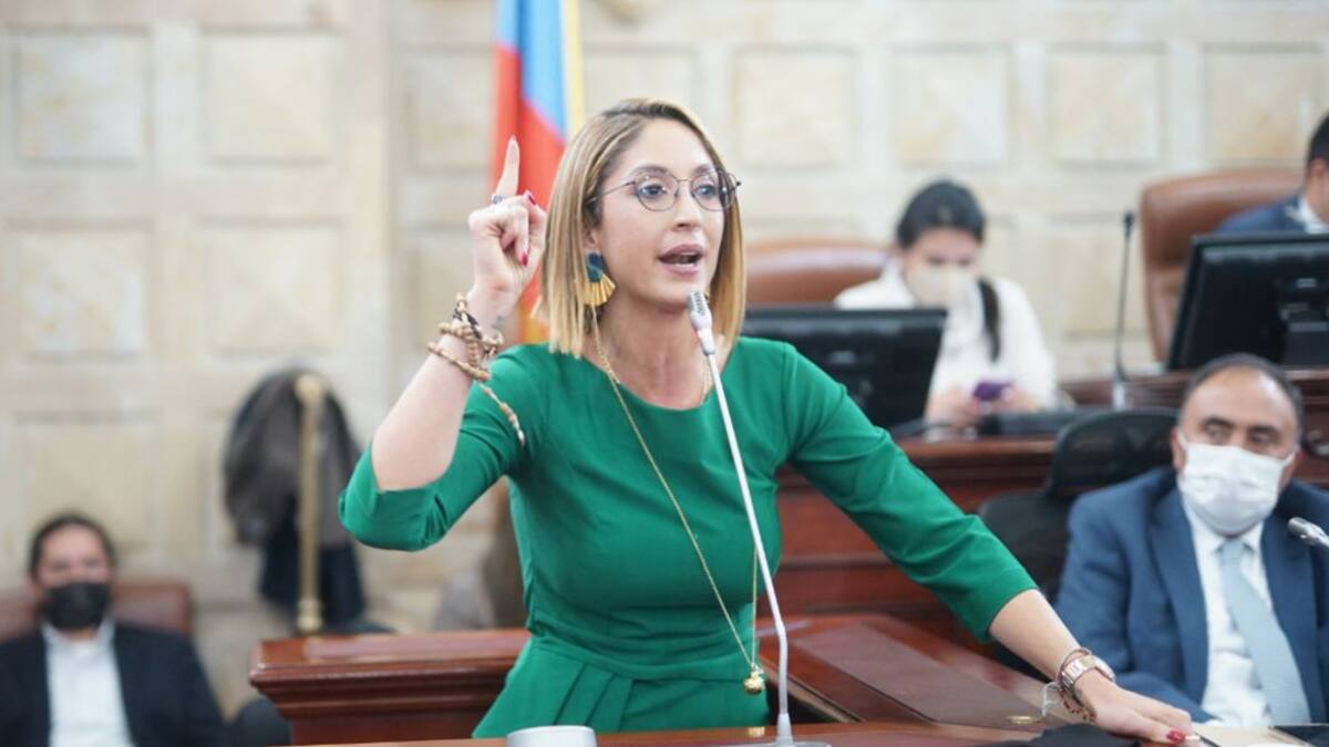 Piden a Comisión de Ética de Cámara investigar a Jennifer Arias por plagio