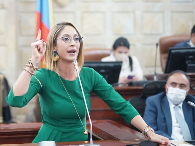 Congresistas de oposición pidieron a la Comisión de Ética de Cámara investigar a la presidenta Jennifer Arias por los señalamientos de plagio