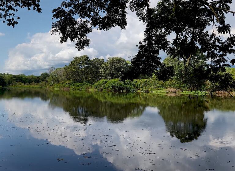 Laguna de Sonso, en el Valle del Cauca (Getty Images)