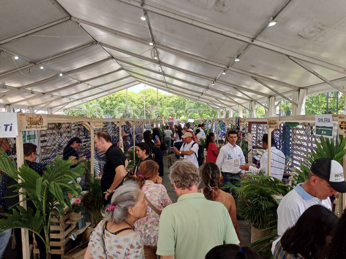 Nariño está listo para la feria de negocios verdes más importante de Latinoamérica