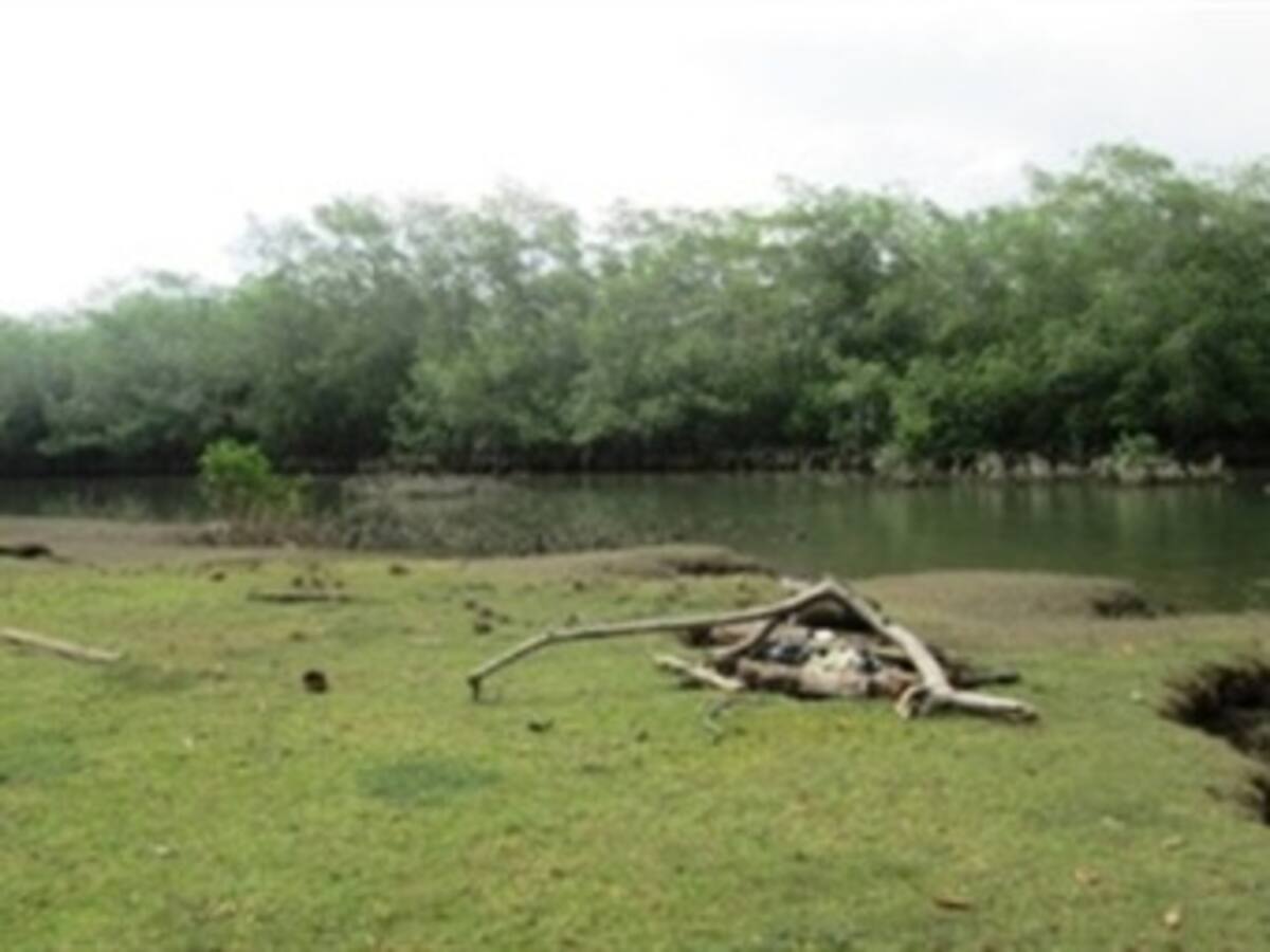 Feria ambiental en Bogotá