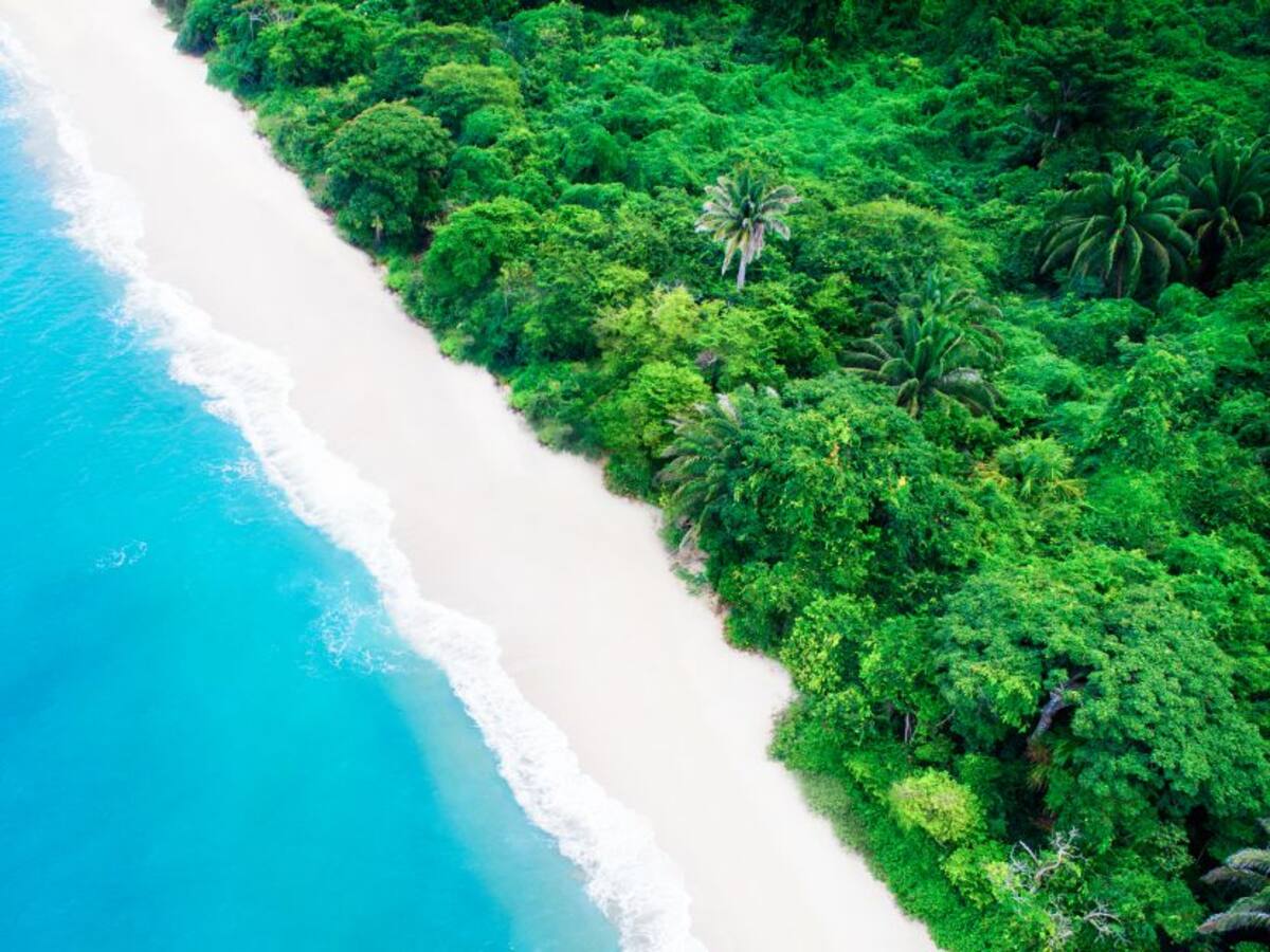 Lista la 7ª edición del Festival ColomBIOdiversidad: Fundación Envol Vert