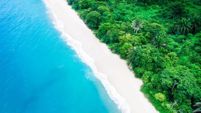 "Todo lo que hagamos y dejemos de hacer tiene impacto en la biodiversidad".