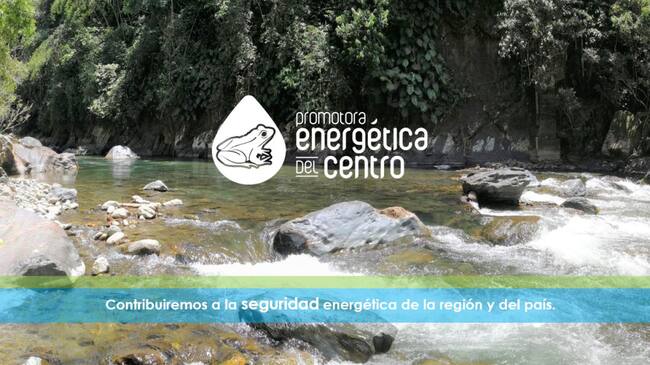 Proyecto Miel II