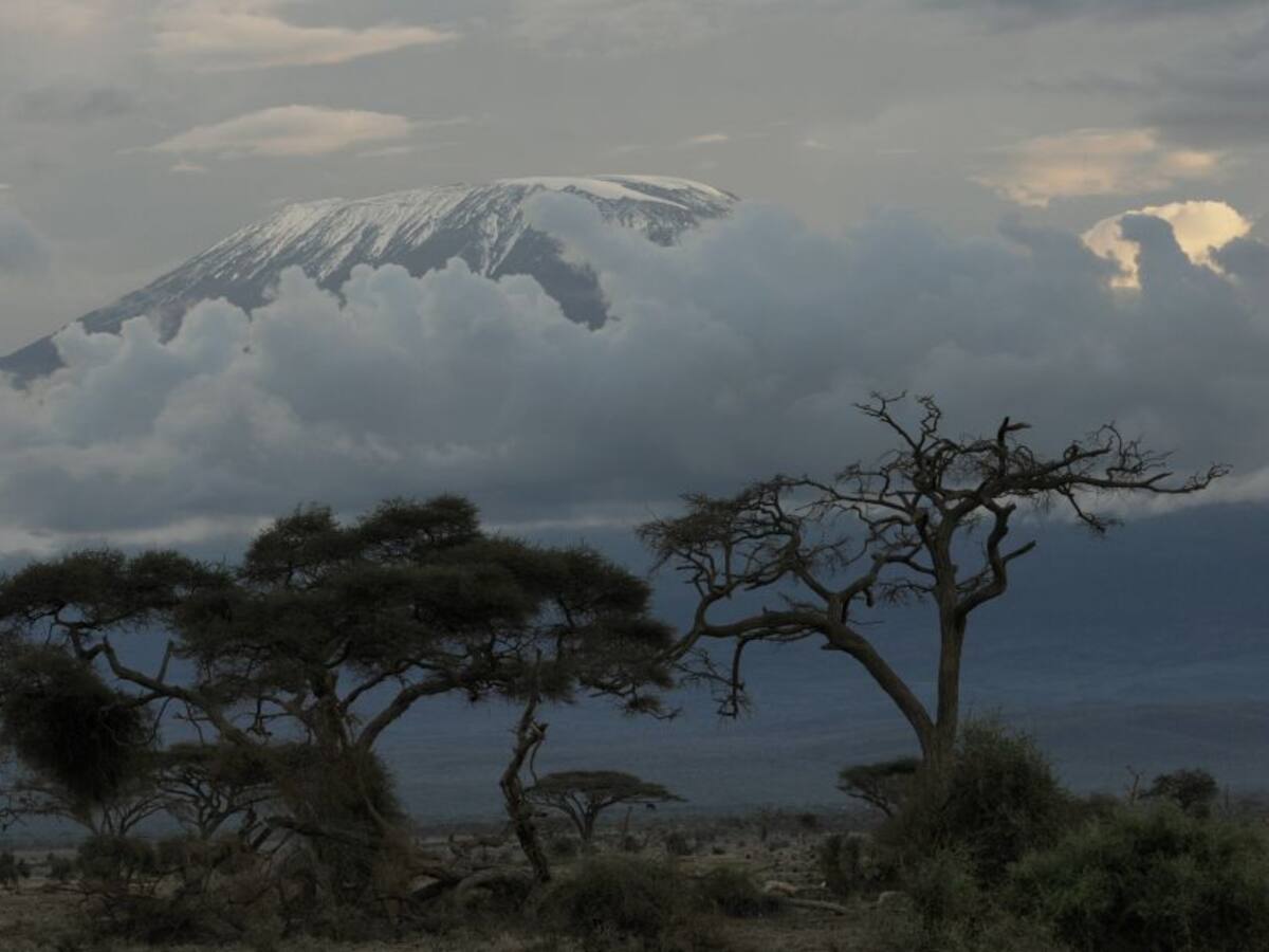 África puede perder sus últimos glaciares en 20 años