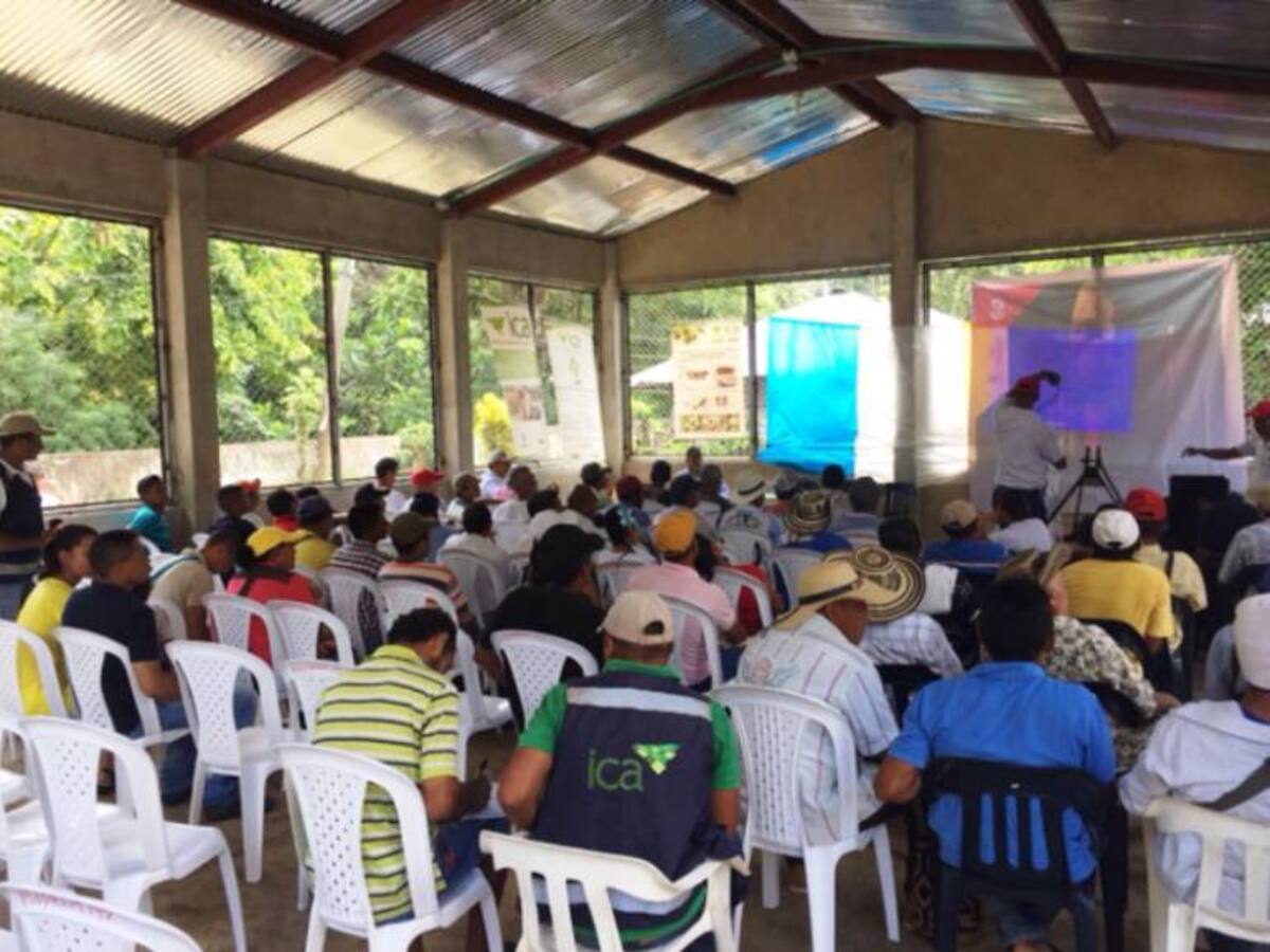 El ICA capacita a 120 productores de los Montes de María