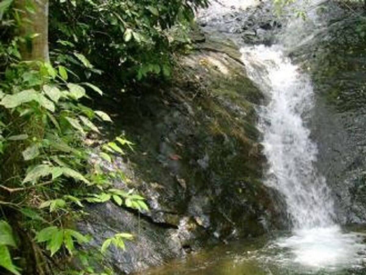 Comunidad denuncia contaminación del río Danubio