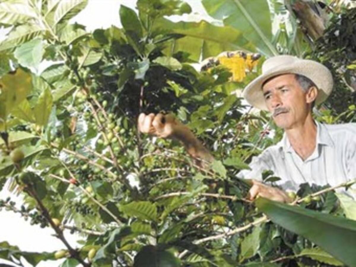 Representantes de sectores agrarios que participarán en paro realizarán foro en Quindío