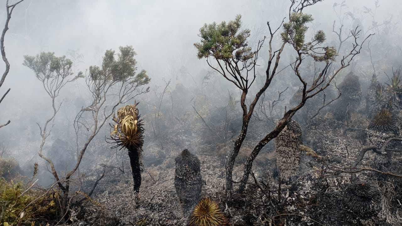 Incendio / Foto: Juan Sebastián Rodríguez ONG Naturar Iguaque