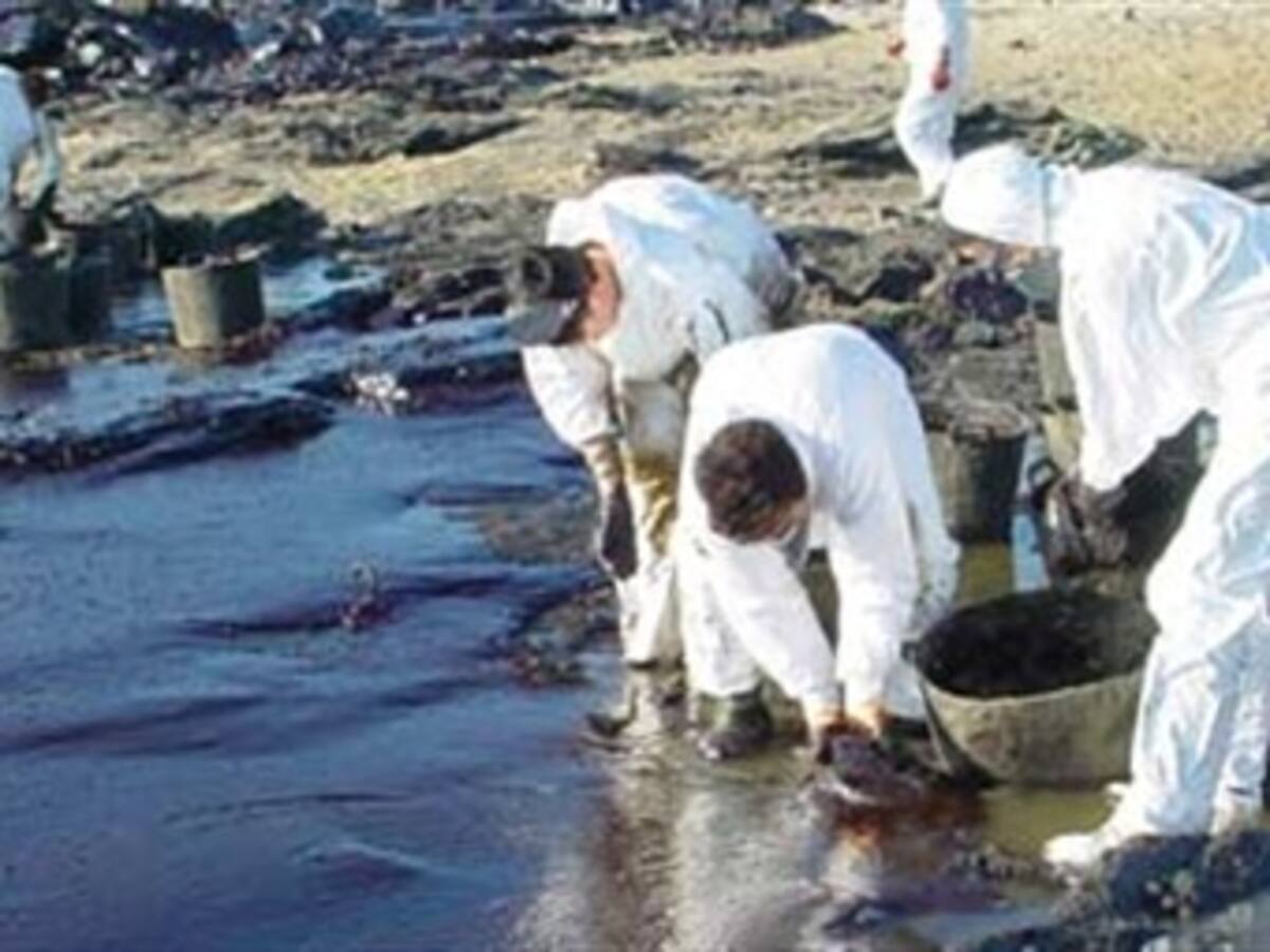 Greenpeace afirma que vertido en las Costas de Dalian es 60 veces superior a las cifras dadas