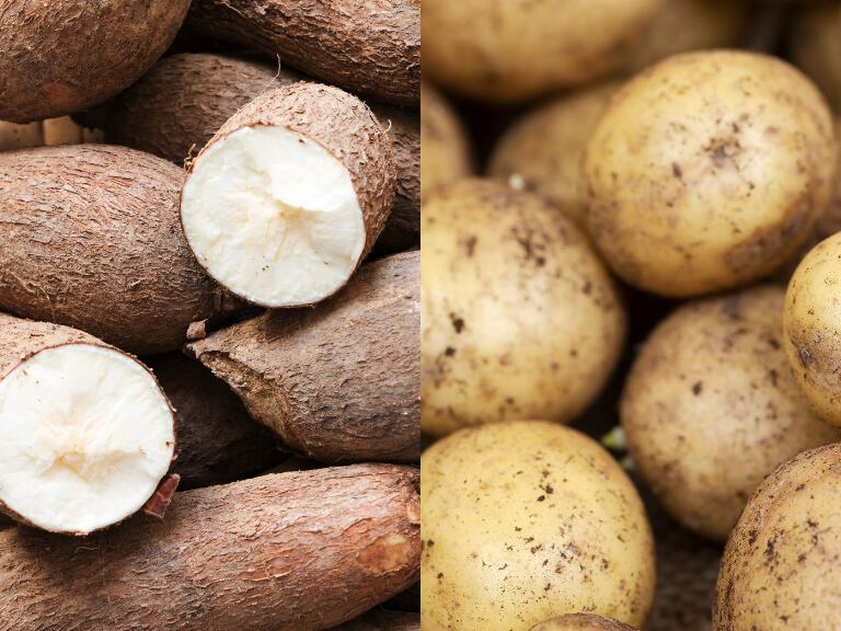 Comparación entre papas y yucas crudas (Fotos vía Getty Images)