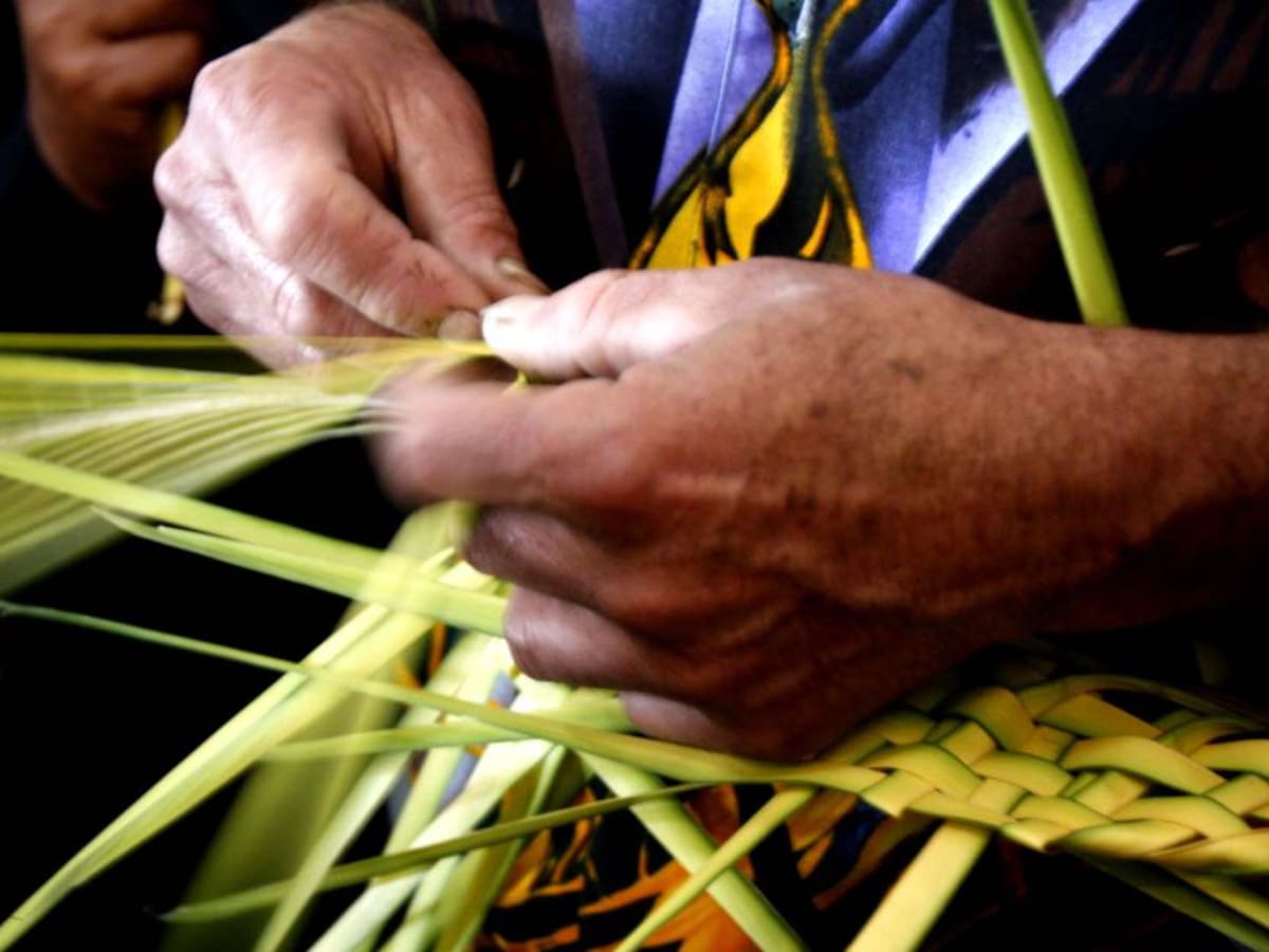 El uso de palma de cera sigue prohibido en Santander durante el Domingo de Ramos