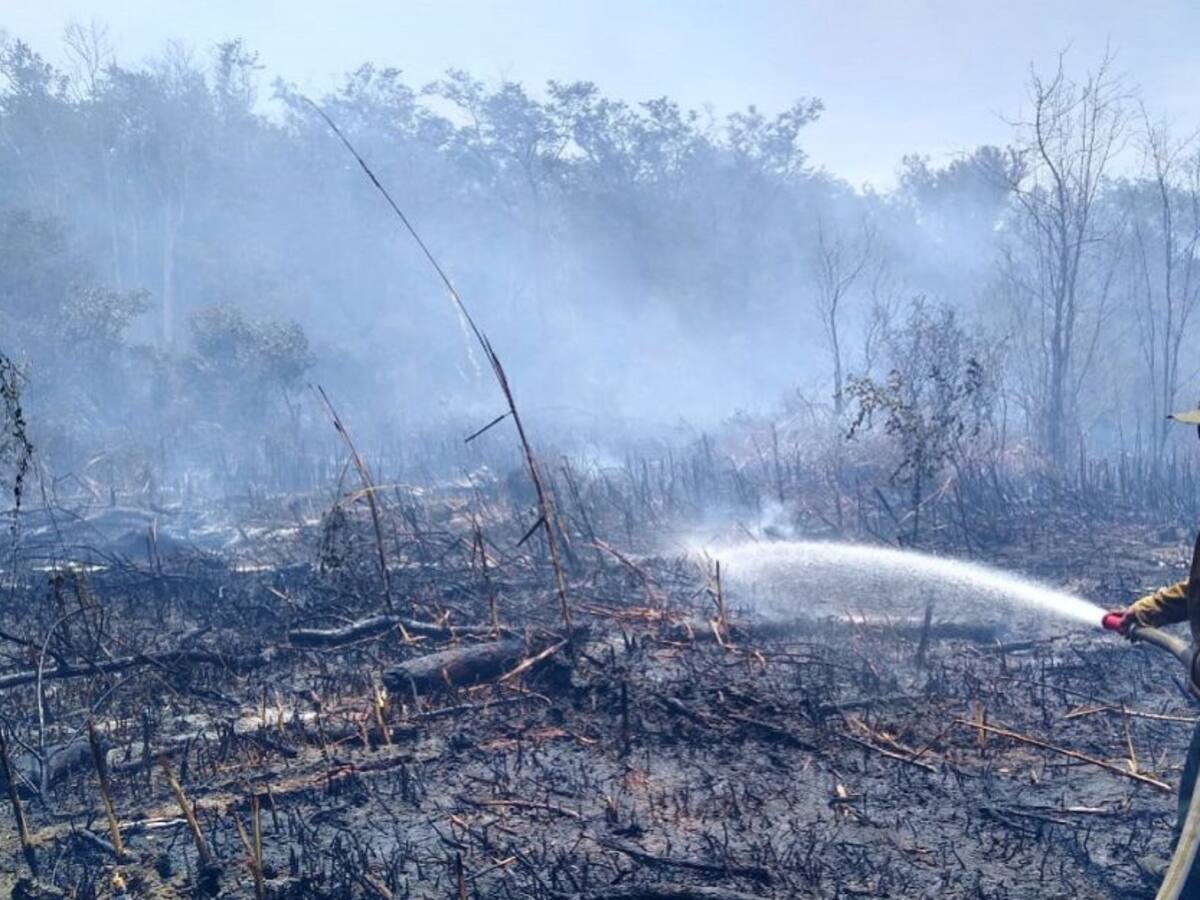 Bomberos intentan controlar incendio en parque Isla Salamanca