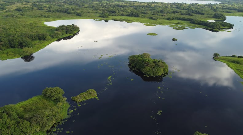 Aparte de ser sustento de comunidades que dependen de la pesca artesanal en el nororiente antioqueño, ciénagas, pantanos, lagunas y bosques inundables funcionan como esponjas naturales. Foto: Corantioquia. 