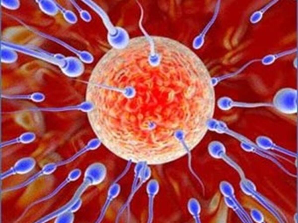 Italiana pide ser fecundada con el semen de su marido en coma