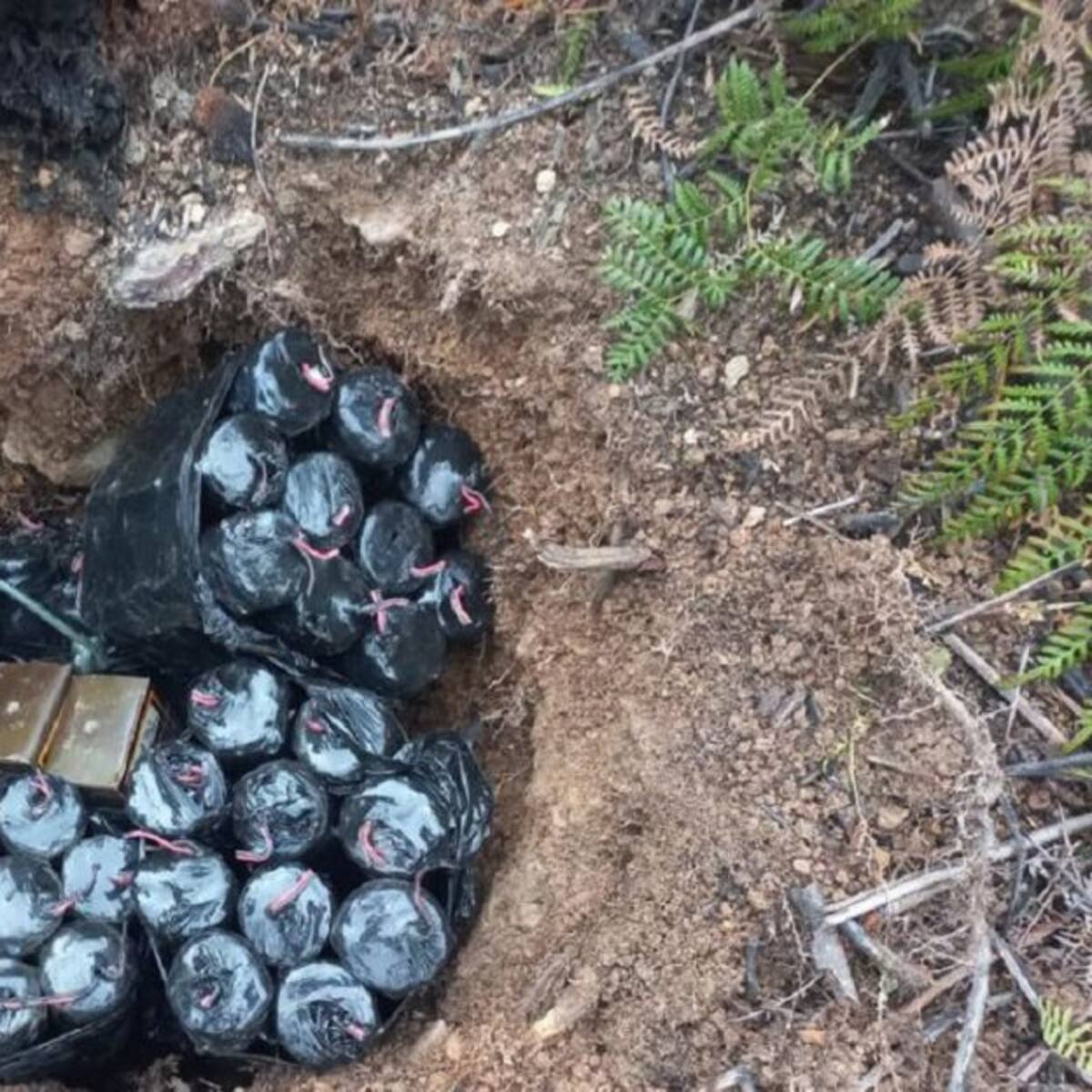 Frustran acción terrorista contra el Ejercito en el municipio de Tibú