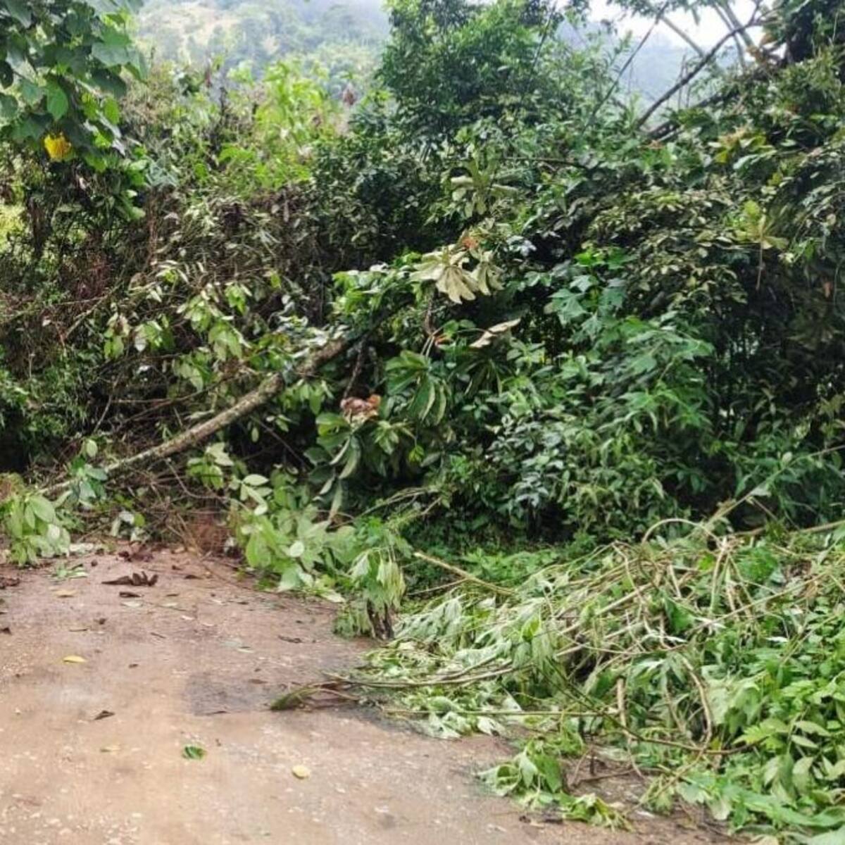 Lluvias originan la suspensión de clases en una escuela rural de Villamaría, Caldas