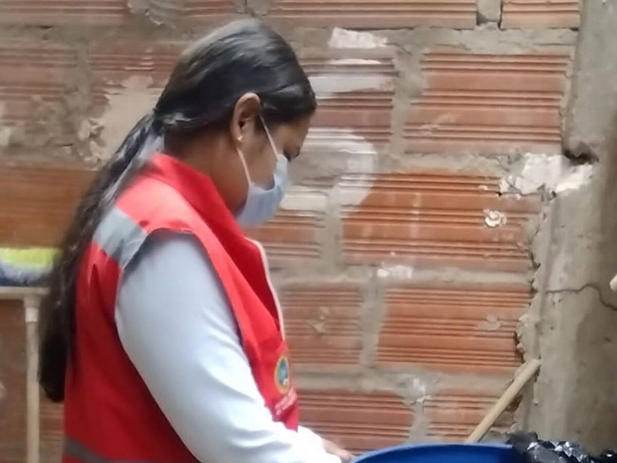 Cartagena no reporta casos de dengue grave en las últimas dos semanas
