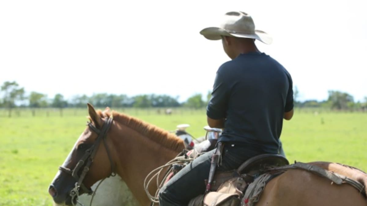 Reforma Agraria es una realidad en el departamento del Meta