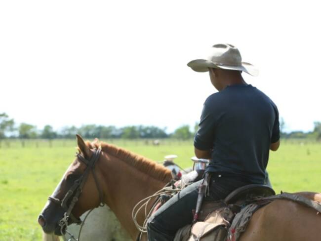 El trabajo del vaquero en los Llanos Orientales