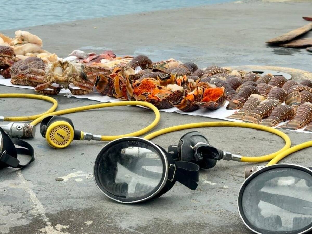 Armada de Colombia detiene pesca ilegal de hondureños en Cayo Serranilla