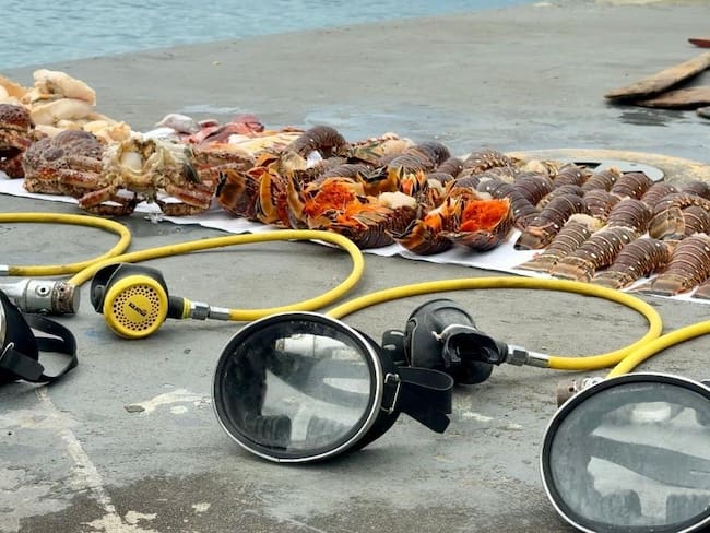 Armada de Colombia detiene pesca ilegal de hondureños en Cayo Serranilla