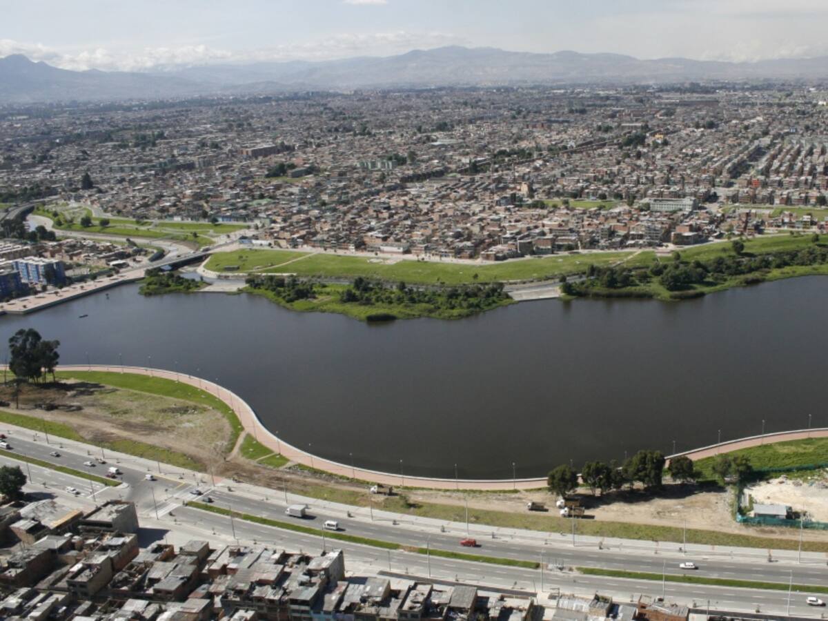 Perros callejeros estarían atacando la fauna en el humedal Jaboque