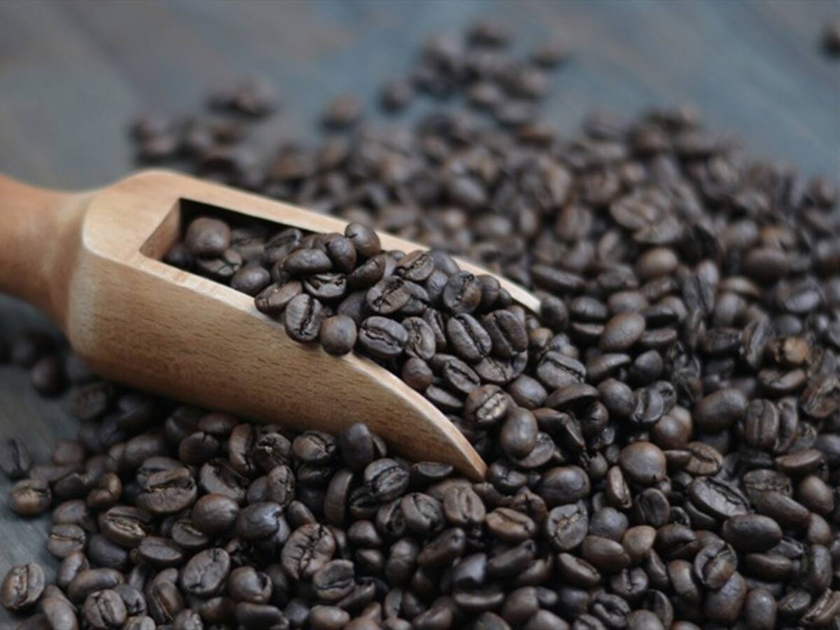 Producción de café cayó en noviembre como consecuencia de la temporada invernal