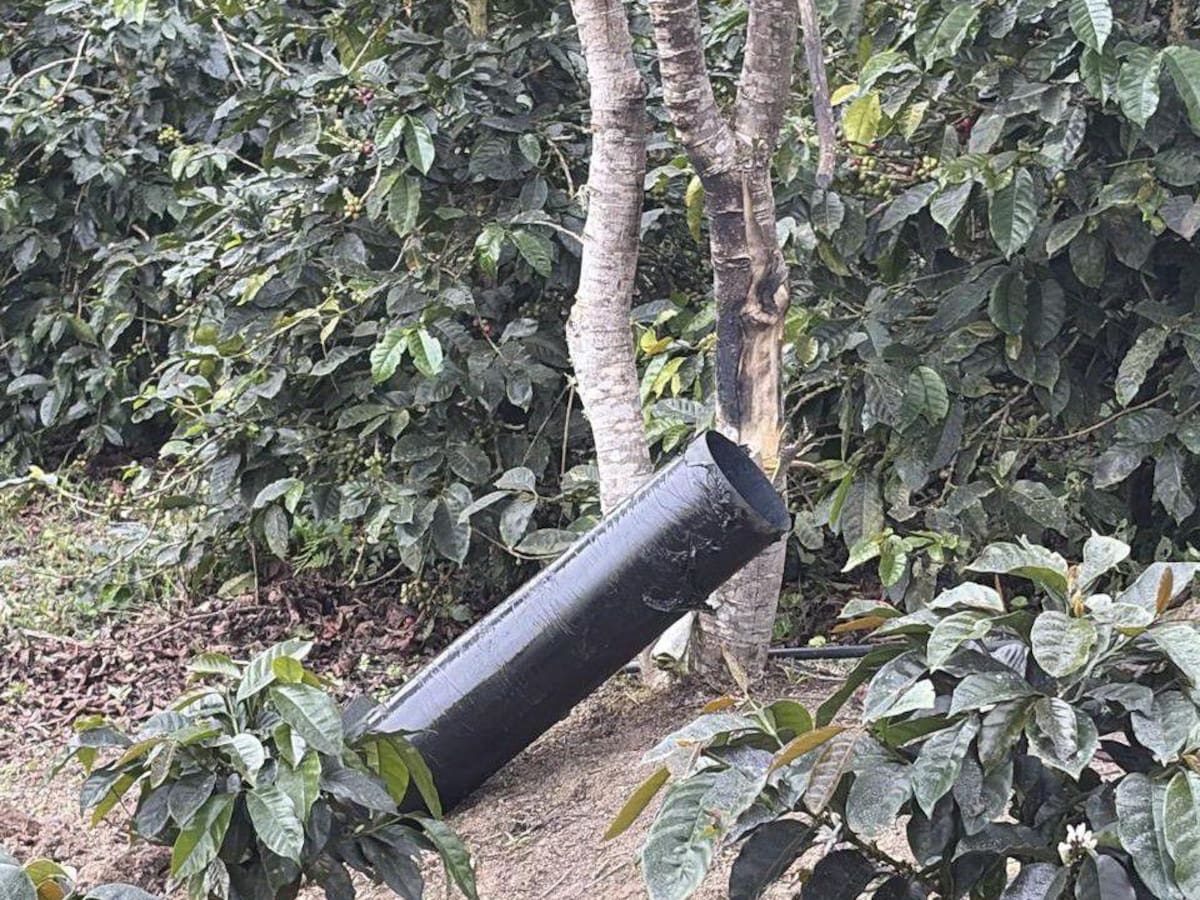 Autoridades frustran acción terrorista en San Calixto