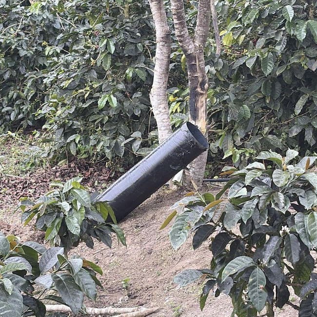 Frustran atentado contra la fuerza pública en San Calixto, Catatumbo / Foto Ejército Nacional