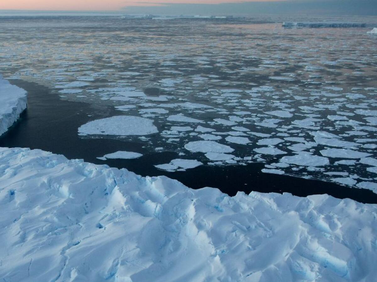 Antártida registró 18,3 ºC de temperatura en 2020