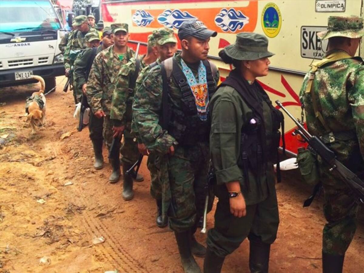 5.400 miembros de las Farc ya se han movilizado a las zonas veredales