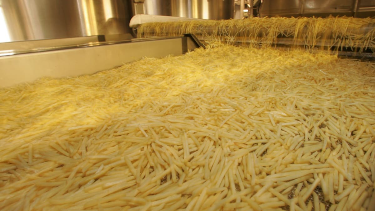 Papas procesadas, alternativa para superar la crisis