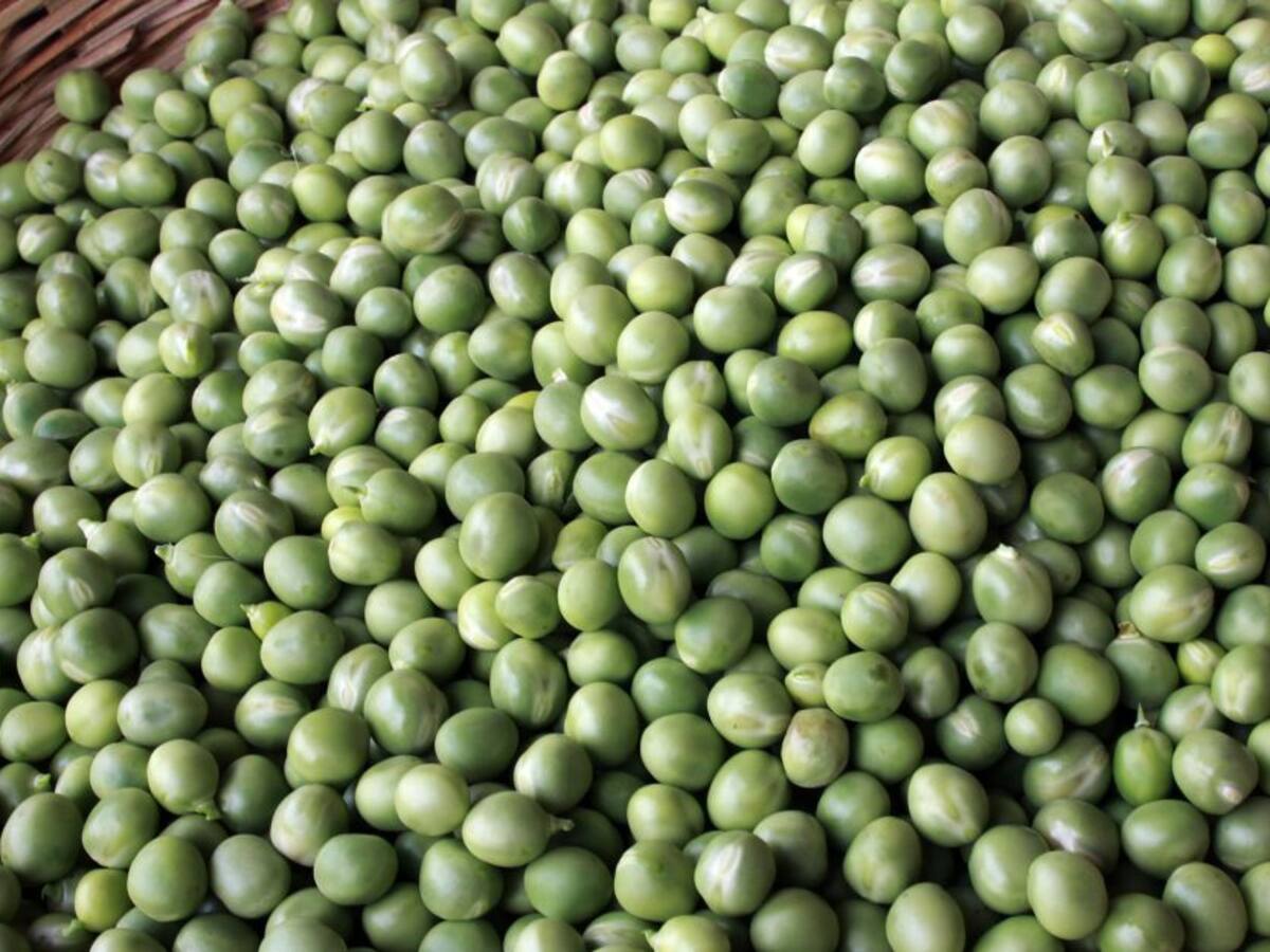 La arveja tiende a bajar sus precios