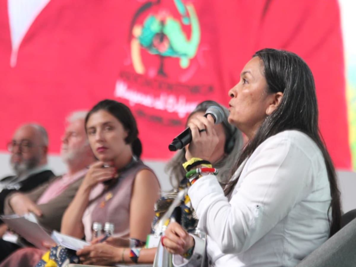 ICARRD +20 abordó interrogantes sobre el impacto de los cultivos ilícitos en la Reforma Agraria